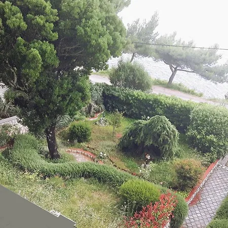 Novi Guest house